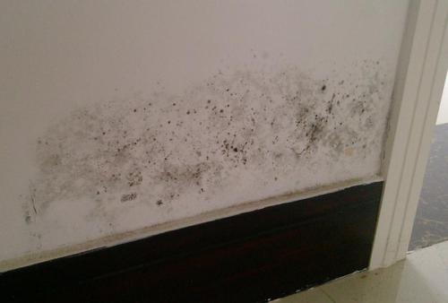 卫生间漏水怎么处理？卫生间防水多少钱