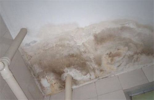 房屋墙壁渗水如何解决？